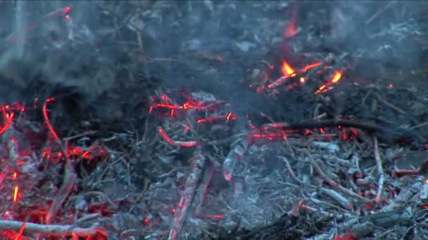 Préparation du feu de barbecue 