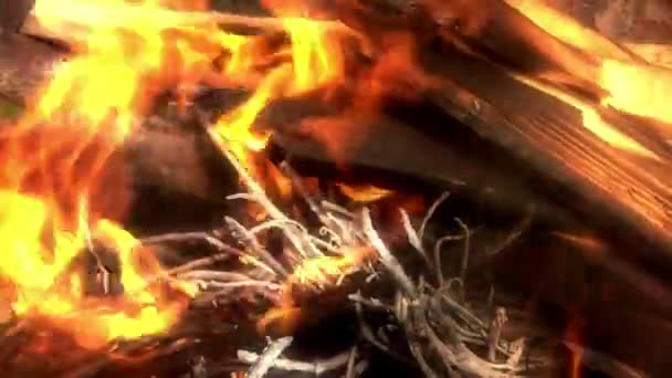 Preparation of barbecue fire — Stock Video