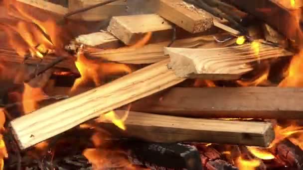 Preparação de fogo de churrasco — Vídeo de Stock