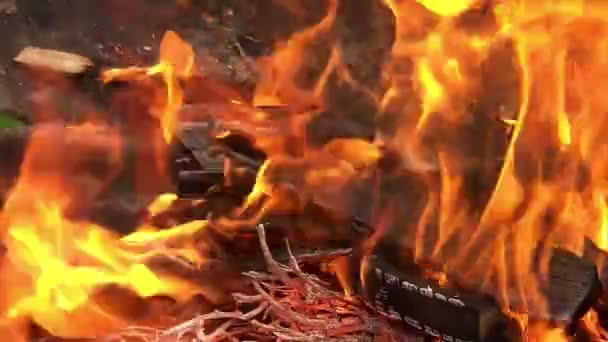 Дерево и огонь на барбекю в замедленной съемке — стоковое видео
