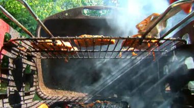 Barbekü, açık havada, yakın çekim yemek