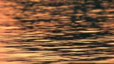 Güzel güneş yansıması bir nehir sava