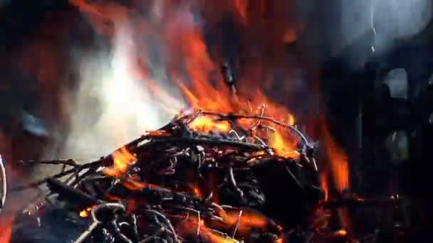 Preparation of barbecue fire — Stock videók