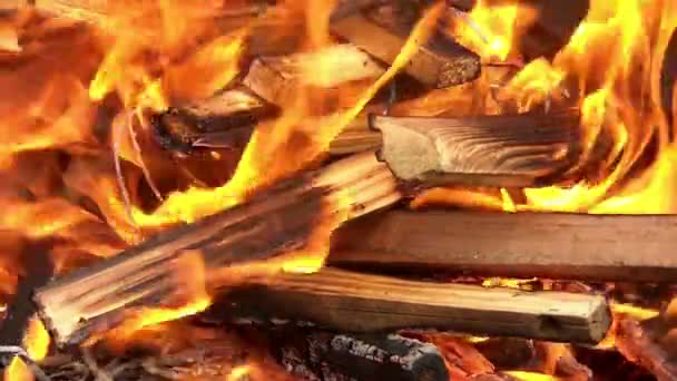 Préparation du feu de barbecue — Video