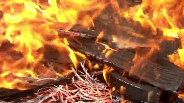 Preparación del fuego de barbacoa — Vídeo de stock