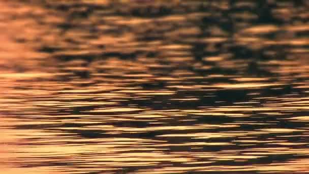 Belle réflexion du soleil sur une rivière Sava — Video