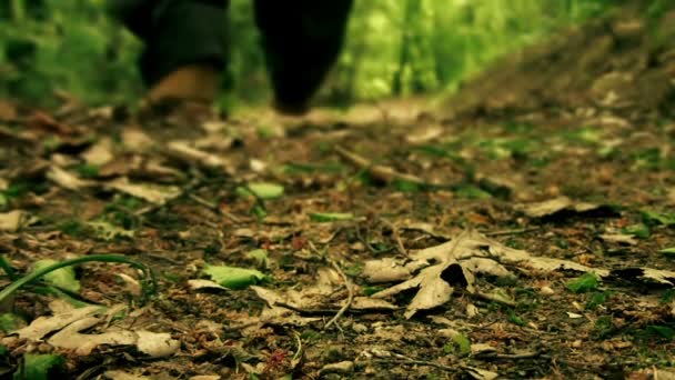 Homem caminhando pela floresta close-up — Vídeo de Stock