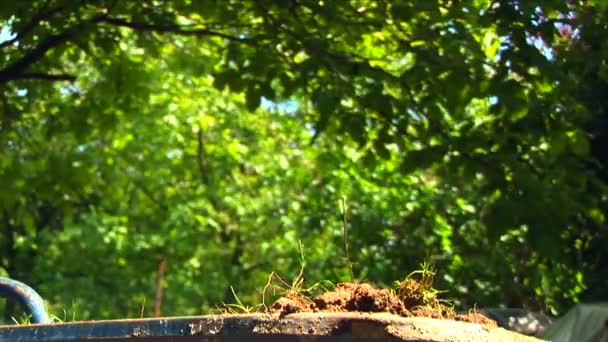 Homme creuser et remplir une roue de chariot 