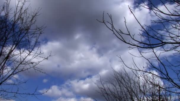 Nubes limpias y hermosas lapso de tiempo — Vídeos de Stock