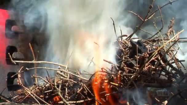 Voorbereiding van barbecue brand — Stockvideo