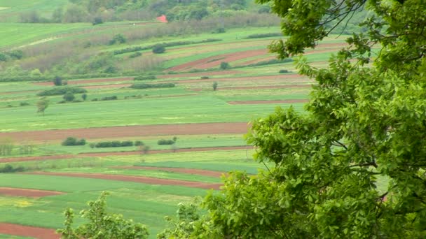 Plowed fields and meadows — Stock Video