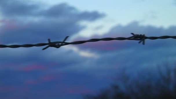 Fil barbelé contre ciel coloré crépusculaire 