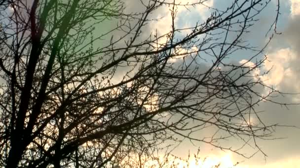 Kippen vom Himmel mit Sonneneruptionen — Stockvideo