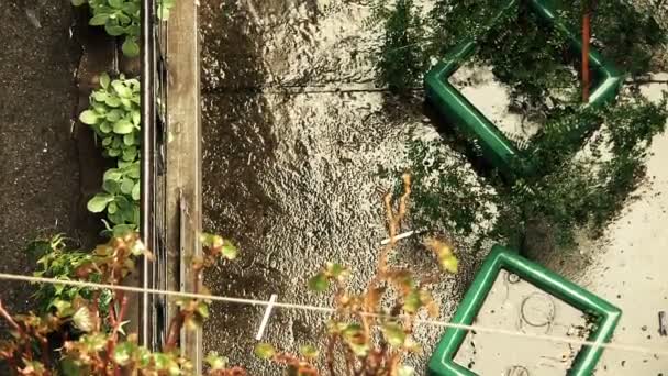 バルコニーから撮影された雨 — ストック動画