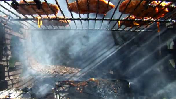 Barbecue cooked outdoors, close-up — Stock Video
