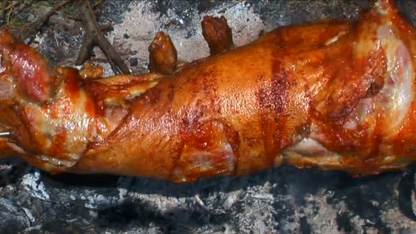 Arrosto di agnello che accende uno spiedo — Video Stock