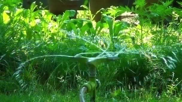 Funny and interesting water sprinkler — 비디오