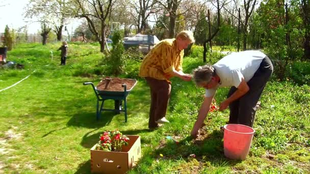 Grootmoeder, grootvader en een jongen tuinieren — Stockvideo