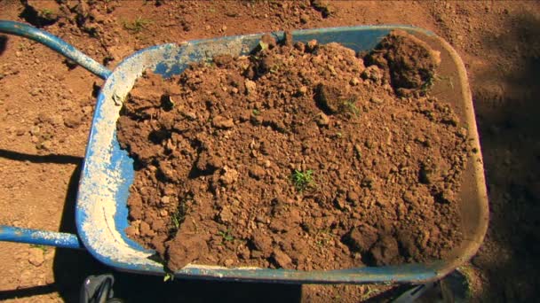 Man digging and filling a cart wheel — 비디오