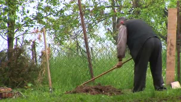 Older man working with hoe in his backyard. — Stock Video