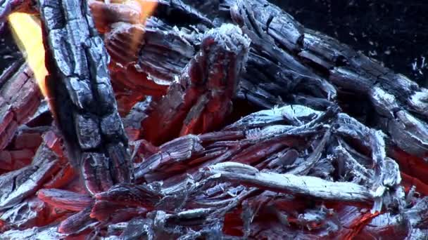 Riktig brand, närbild. lågor och glödande kol — Stockvideo