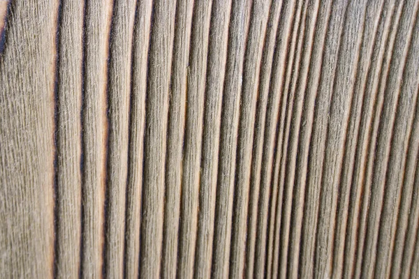 Textura de madera — Foto de Stock