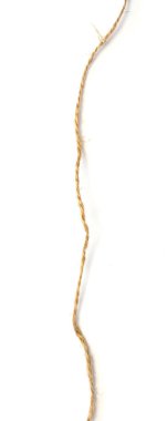 Beyaz arka planda sicim. Paketleme için iplik. İzole et.