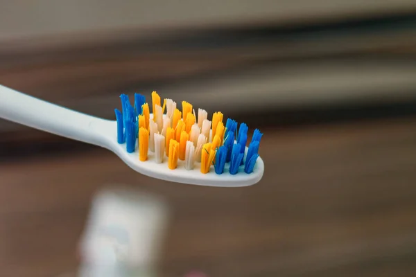 Plastik bir stantta diş fırçası. Tuvalette. Ağız bakımı. Seçici odak.