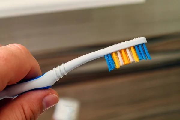 Plastik bir stantta diş fırçası. Tuvalette. Ağız bakımı. Seçici odak.