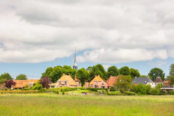 Summer View Dutch Small Terp Village Niehove Province Groningen Netherlands — Stockfoto