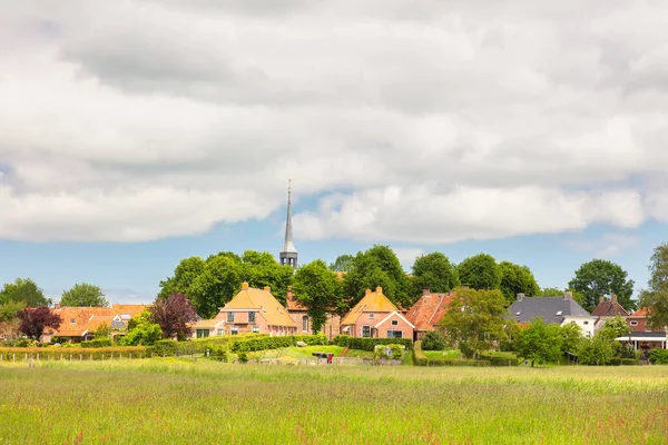 Summer View Dutch Small Terp Village Niehove Province Groningen Netherlands — 图库照片