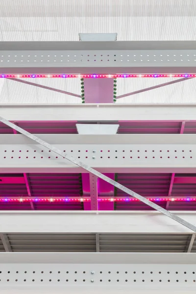Front view of a new vertical farming system with illuminated led lights