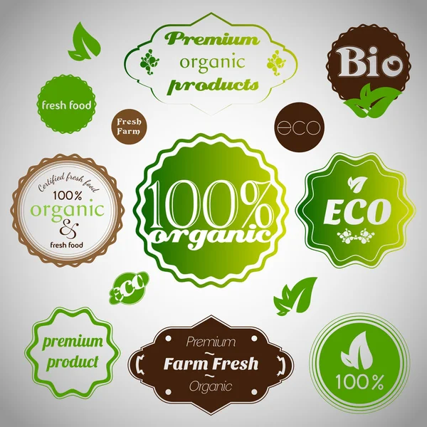 Conjunto de alimentos orgánicos y frescos de granja — Vector de stock