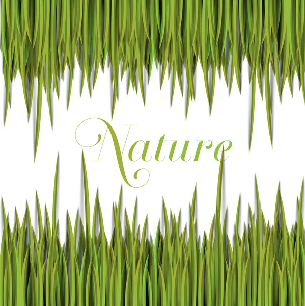 Plantilla de naturaleza y hierba — Vector de stock
