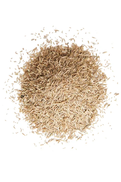 Pile of grass seed — Stock Photo, Image