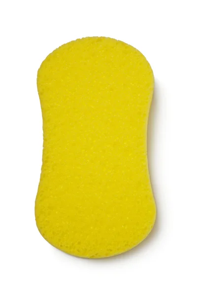 Sponge — Stock Photo, Image