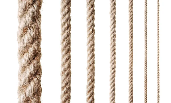 Collection of various ropes — Stock Photo, Image