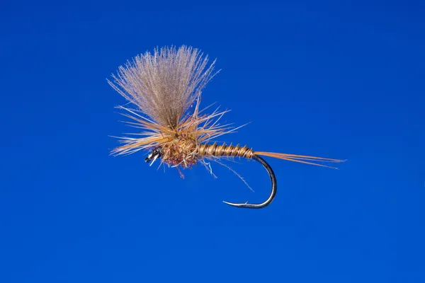 Crochet de pêche à la mouche — Photo