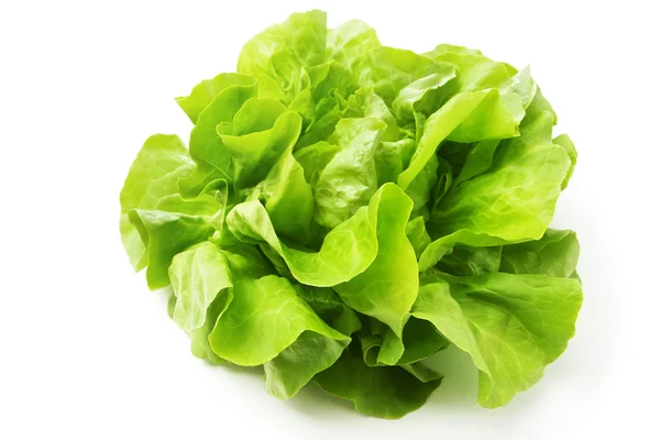 Kopfsalat — Stockfoto