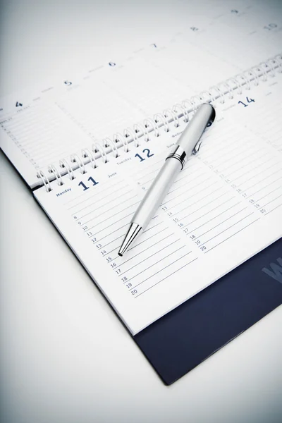 Organizer and Pen — Stock Photo, Image