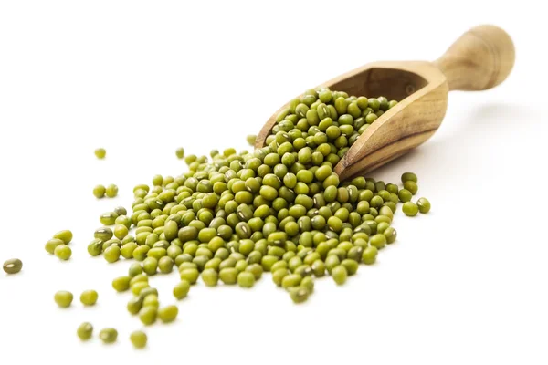 Mung beans — Stock Photo, Image