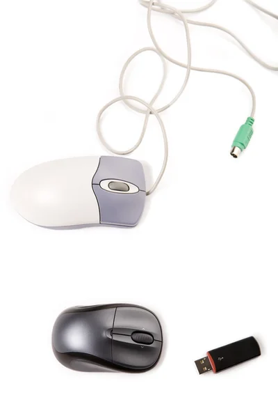 Computer mouse — Stock Photo, Image