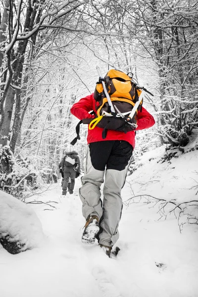 Caminhadas nas montanhas no inverno — Fotografia de Stock