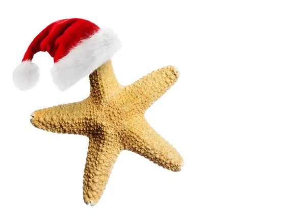 Santa Claus hat on starfish — Stock Photo, Image