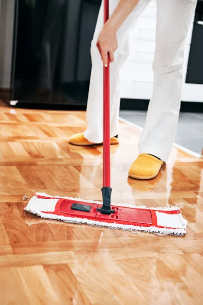 House cleaning — Stock Photo, Image