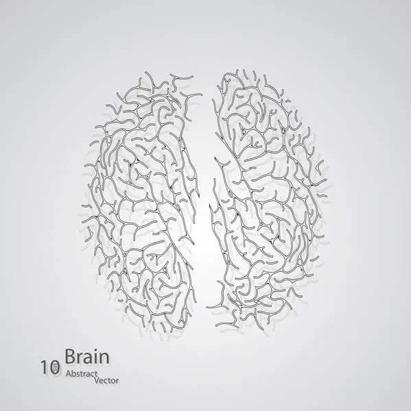 Concepto creativo del cerebro humano — Archivo Imágenes Vectoriales