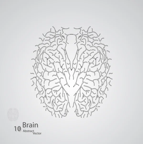 Conceito criativo do cérebro humano — Vetor de Stock