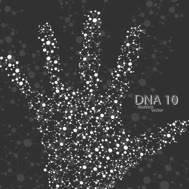 el şeklinde moleküler yapısı