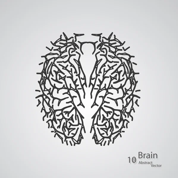 Conceito criativo do cérebro humano — Vetor de Stock
