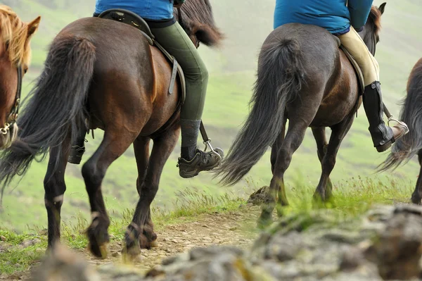Excursión a caballo en Islandia — Foto de Stock